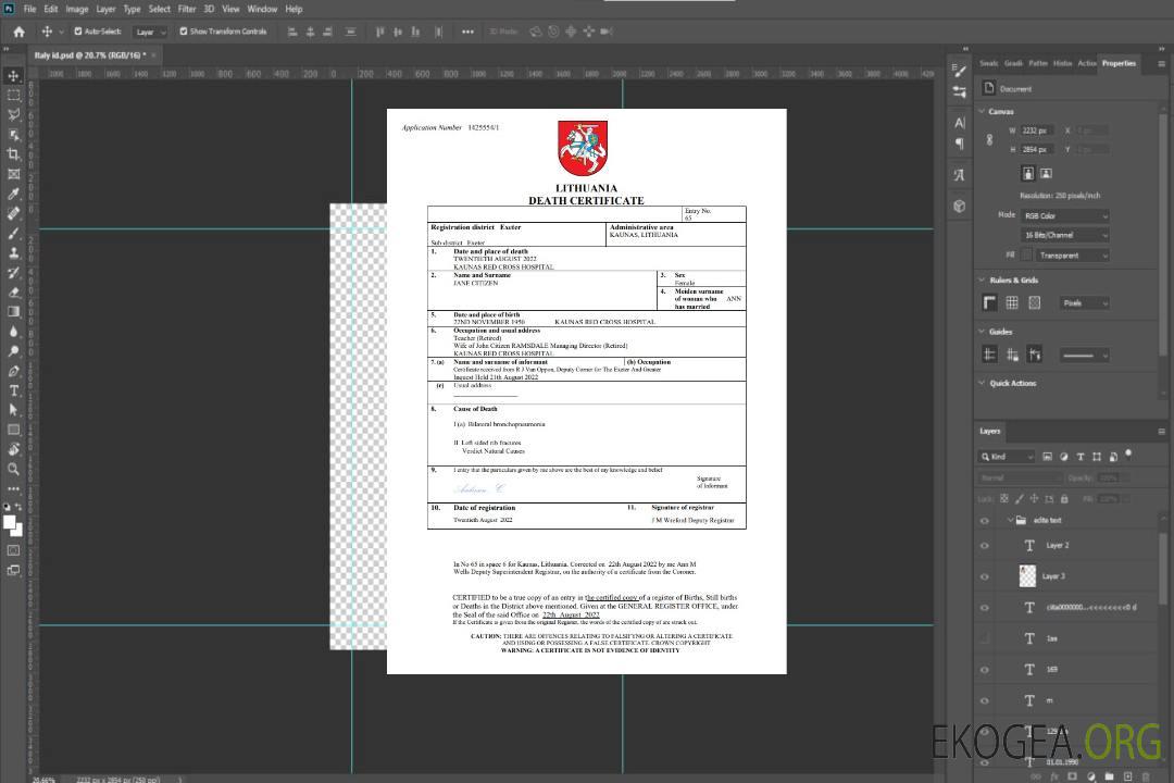 Modèle Word et PDF de certificat de décès d'état civil de Lituanie template